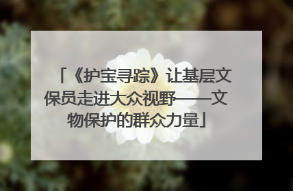《护宝寻踪》让基层文保员走进大众视野——文物保护的群众力量