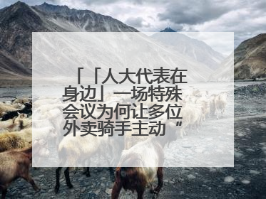 「人大代表在身边」一场特殊会议为何让多位外卖骑手主动“放下订单”？