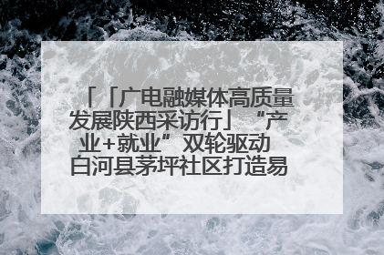 「广电融媒体高质量发展陕西采访行」“产业+就业”双轮驱动 白河县茅坪社区打造易地搬迁后扶新样本