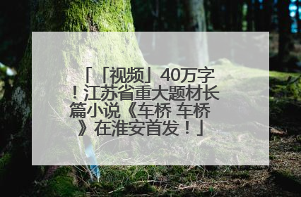 「视频」40万字！江苏省重大题材长篇小说《车桥 车桥》在淮安首发！