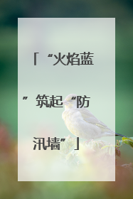 “火焰蓝”筑起“防汛墙”