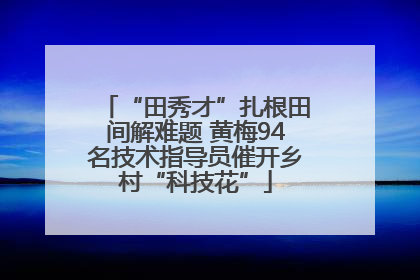 “田秀才”扎根田间解难题 黄梅94名技术指导员催开乡村“科技花”