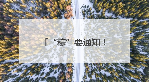 “粽”要通知！石家庄正定国际机场端午出行乘机提示，快来get
