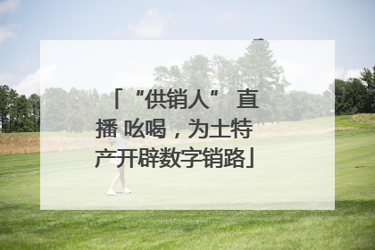 “供销人” 直播 吆喝，为土特产开辟数字销路