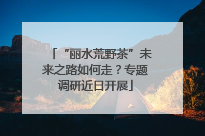 “丽水荒野茶”未来之路如何走？专题调研近日开展