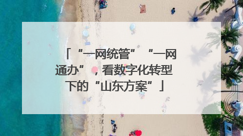 “一网统管”“一网通办”，看数字化转型下的“山东方案”