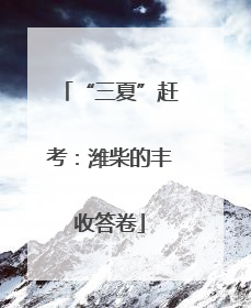 “三夏”赶考：潍柴的丰收答卷