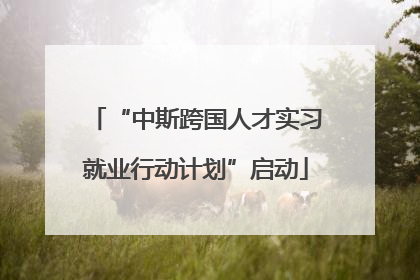 “中斯跨国人才实习就业行动计划”启动