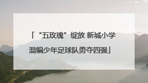 “五玫瑰”绽放 新城小学混编少年足球队勇夺四强