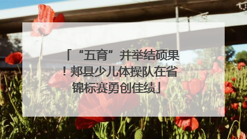 “五育”并举结硕果！郏县少儿体操队在省锦标赛勇创佳绩