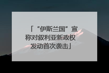 “伊斯兰国”宣称对叙利亚新政权发动首次袭击