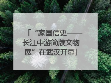 “家国信史——长江中游简牍文物展”在武汉开幕