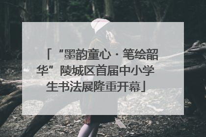 “墨韵童心・笔绘韶华”陵城区首届中小学生书法展隆重开幕
