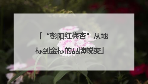 “彭阳红梅杏”从地标到金标的品牌蜕变