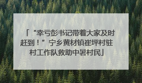 “幸亏彭书记带着大家及时赶到！”宁乡黄材镇崔坪村驻村工作队救助中暑村民