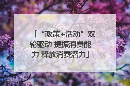 “政策+活动”双轮驱动 提振消费能力 释放消费潜力