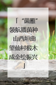 “菌雁”领航播菌种 山西垣曲望仙村椴木成金绘振兴