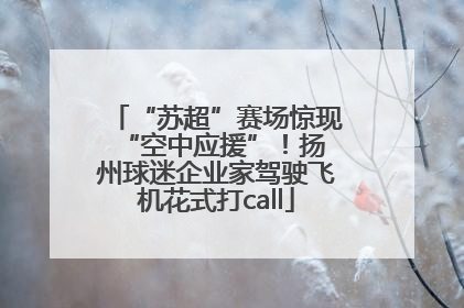 “苏超”赛场惊现 “空中应援”！扬州球迷企业家驾驶飞机花式打call
