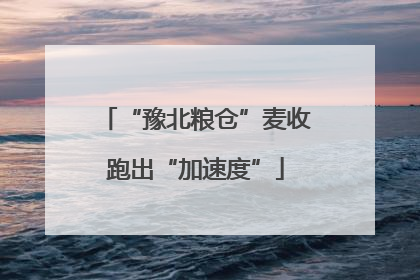 “豫北粮仓”麦收跑出“加速度”