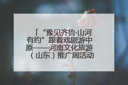 “豫见齐鲁·山河有约”跟着戏剧游中原——河南文化旅游（山东）推广周活动菏泽站活动举行