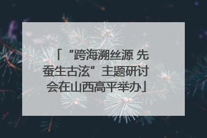 “跨海溯丝源 先蚕生古泫”主题研讨会在山西高平举办
