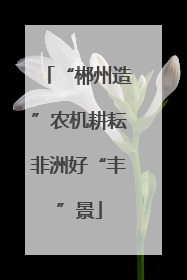 “郴州造”农机耕耘非洲好“丰”景