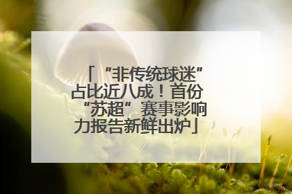 “非传统球迷”占比近八成！首份“苏超”赛事影响力报告新鲜出炉
