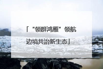 “领群鸿雁”领航边境共治新生态