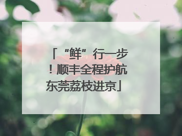 “鲜”行一步！顺丰全程护航东莞荔枝进京