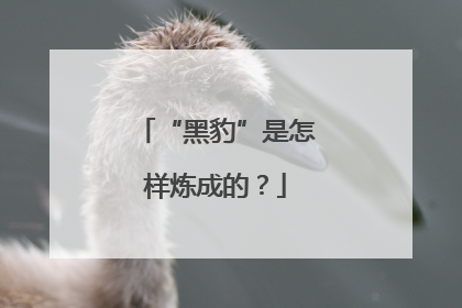 “黑豹”是怎样炼成的？