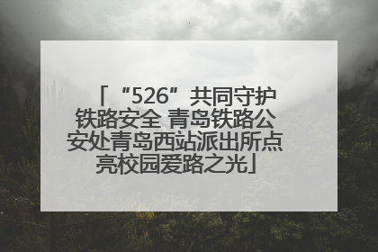 “526”共同守护铁路安全 青岛铁路公安处青岛西站派出所点亮校园爱路之光