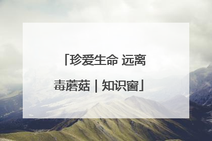 珍爱生命 远离毒蘑菇｜知识窗