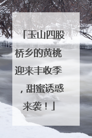 玉山四股桥乡的黄桃迎来丰收季，甜蜜诱惑来袭！