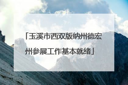 玉溪市西双版纳州德宏州参展工作基本就绪