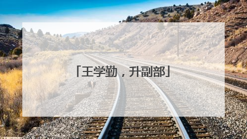 王学勤，升副部