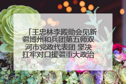 王忠林李殿勋会见新疆博州和兵团第五师双河市党政代表团 坚决扛牢对口援疆重大政治责任 推动双方实现优势互补务实合作