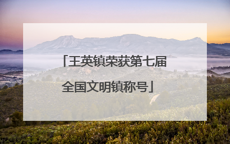 王英镇荣获第七届全国文明镇称号