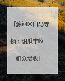 瀍河区白马寺镇：甜瓜丰收 群众增收
