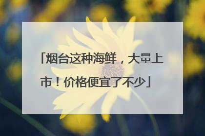 烟台这种海鲜，大量上市！价格便宜了不少