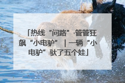热线“问路”·管管狂飙“小电驴”｜一辆“小电驴”驮了五个娃