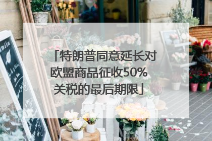 特朗普同意延长对欧盟商品征收50%关税的最后期限