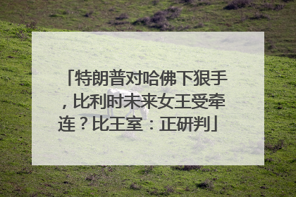 特朗普对哈佛下狠手，比利时未来女王受牵连？比王室：正研判