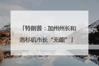 特朗普：加州州长和洛杉矶市长“无能”