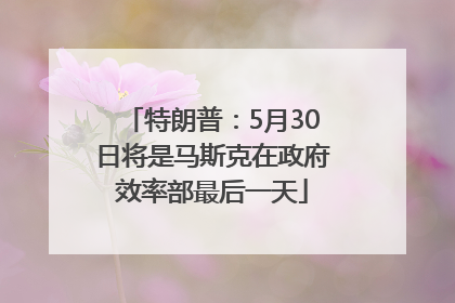 特朗普：5月30日将是马斯克在政府效率部最后一天