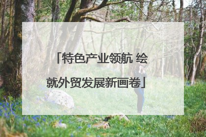 特色产业领航 绘就外贸发展新画卷