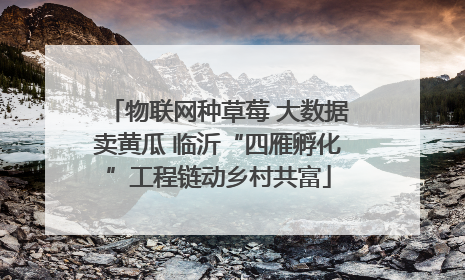 物联网种草莓 大数据卖黄瓜 临沂“四雁孵化”工程链动乡村共富