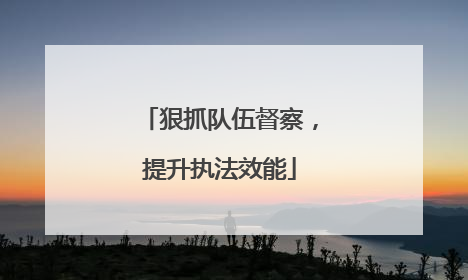 狠抓队伍督察，提升执法效能