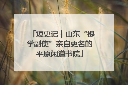 短史记｜山东“提学副使”亲自更名的平原闲道书院