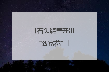 石头缝里开出“致富花”