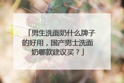 男生洗面奶什么牌子的好用，国产男士洗面奶哪款建议买？